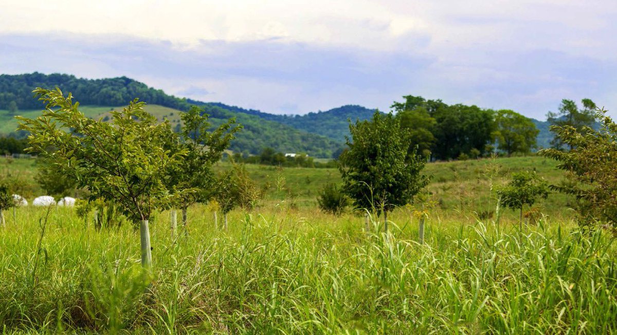 algore's tweet photo. My earliest lessons on the environment were at my family farm. Learning about the fragile balance of life on this land inspired my work to protect it. This #EarthDay, let us appreciate the natural world around us and renew our commitment to safeguarding humanity's only home. https://t.co/l9n0EO4ZlK