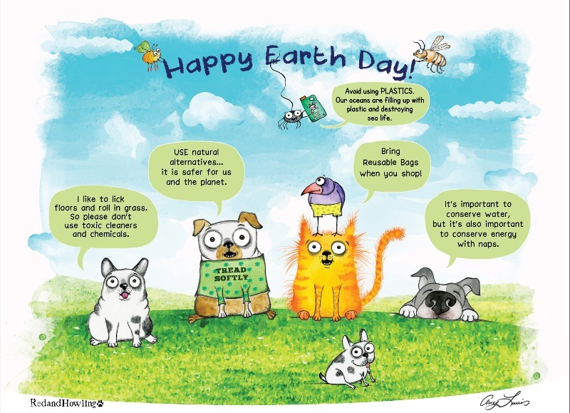 LostPetServices's tweet photo. Happy #EarthDay
🐸🐷🐶🐯🐹🐢🐝🐑🐞🐬🐠🌸🌷 https://t.co/2qDH3kM7PC