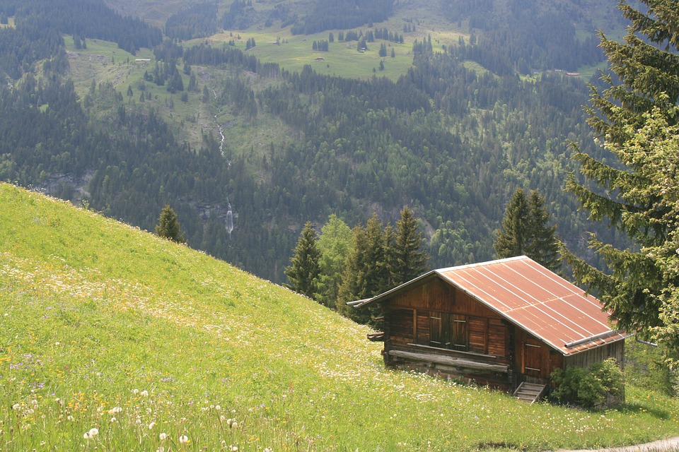 Chalet_Finder's tweet photo. Summer at ChaletFinder! Find the perfect chalet for your summer holiday.

Find out more at: https://t.co/rUT3bXH16N

#ChaletFinder #summer #chalet #resort #holiday https://t.co/YiCgFgcldj
