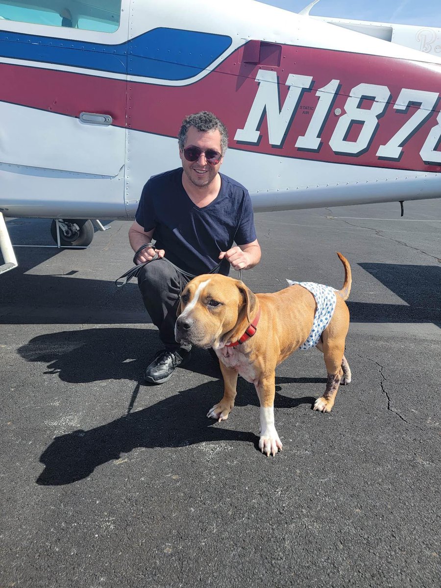 dogs_nc's tweet photo. Emory took his #Freedom flight from NC to his new home in Massachusetts #rescuedogs #flyingdogs
#AdoptDontShop https://t.co/kcxntGBcwt