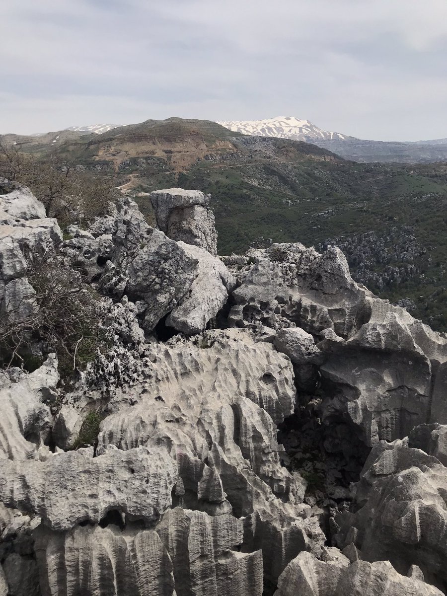 #hiking <a href="/Jabal_Moussa/">Jabal Moussa Biosphere Reserve</a>