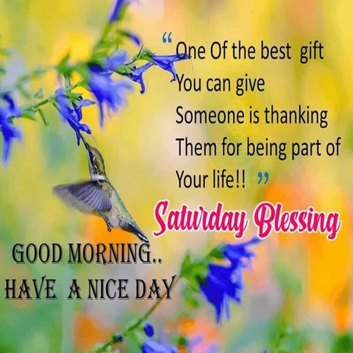 NQueenDallas's tweet photo. #TheMastersCall #SuperFantasticSaturday #SEMG #GOTEM #ArdyssLife #WinningWeekend #CMB #BXF #Ardyss4Life #ViDiLook #NovaTech #VerterVerse #Fundsz #SEMGOperationSuccess #BlackWomensHistoryMonth #ExpertMining #AfriqJMArbitrage #C12  https://t.co/ygb0pD9O9g https://t.co/Vv7fQzv3HN https://t.co/FIK1ZRU1k8