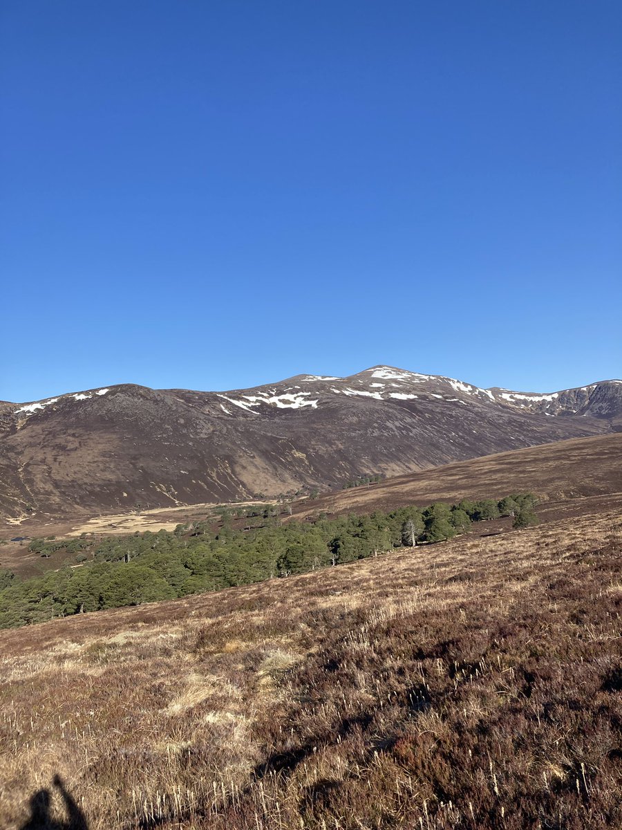craigieboy1988's tweet photo. Beinn Bhreac and Beinn a’ Chaorainn from Linn of Dee today.229/282 #Munros  #hillwalking #cairngorms @VisitScotland @walkhighlands https://t.co/RJUFdrp4KU