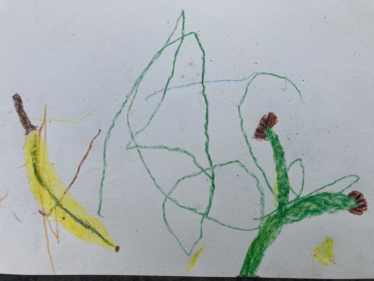 mistressofline's tweet photo. We got some great Kibble plant drawings from the kids today. Love the tree with eyes and my favorite is the banana tree. @davidshrigley watch out! #WorldEarthDay #WorldEarthDay2023 #KeepKibbleFree
@JillBGlasgow @MaryRed71440589 @GlasgowWEToday @tamdeanburn @heraldscotland https://t.co/y2qTZXxCcy