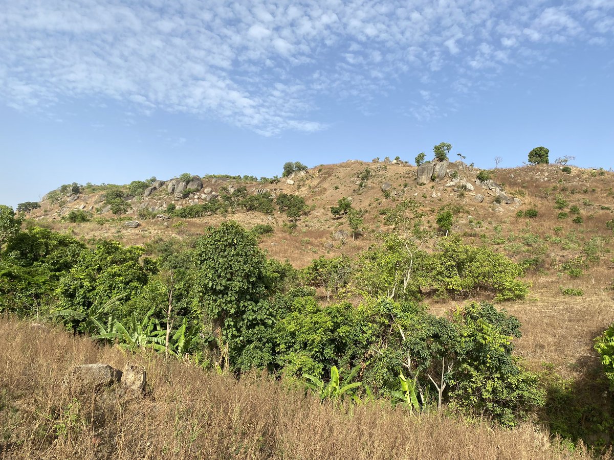 On the occasion of #EarthDay I want to share my pictures of beautiful #Abuja 🇳🇬 to remind us that even within our cities there’s precious nature 
#ProtectOurPlanet 🌍 #EarthDayEveryDay