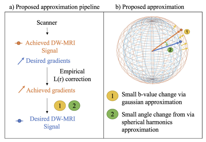In new work from <a href="/praitayini/">pk</a>, <a href="/LeonCai/">Leon Y. Cai, MD, PhD</a> , <a href="/FrancoisRheault/">Francois Rheault (8$™)</a> , <a href="/baxpr/">BankXRP</a> , <a href="/kurtschilling5/">kurt.schilling</a> , and others, we find that a simple, approximate correction yields almost all of the benefits of the full approach. /2