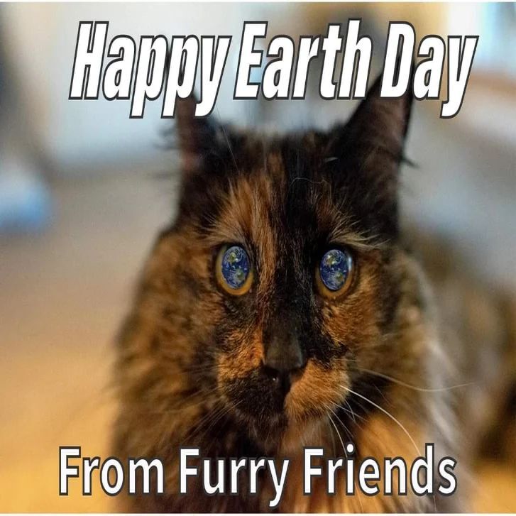 Happy Earth Day from the volunteers and kitties at Furry Friends.

#vancouverstrong #vancouverwashington #vancouverwa #battlegroundwa #ridgefieldwa #pnwlife #pnwcats #pnw #thecouve #clarkcountywa #catrescue #portlandoregon #portlandor #pdx #cats #catsofi… instagr.am/p/CrV-hsSLEPf/