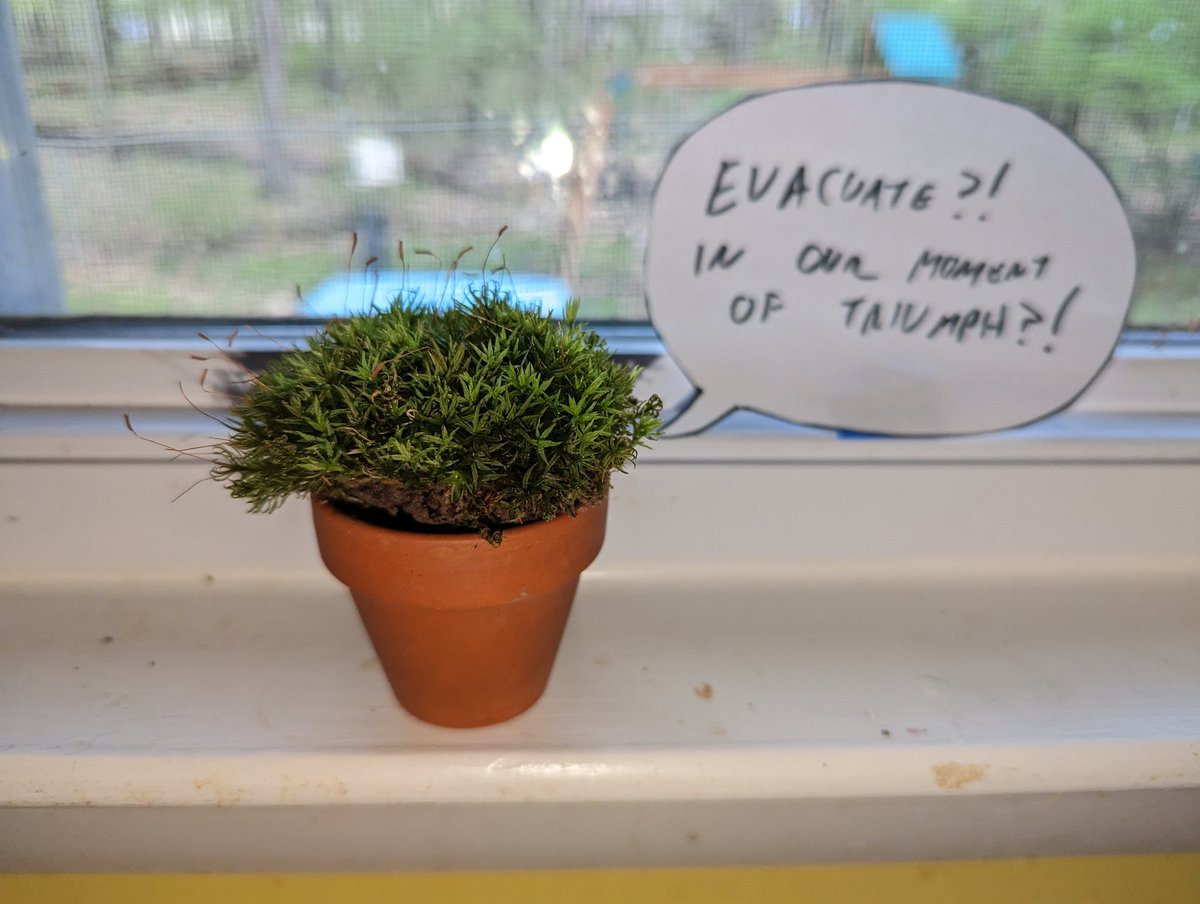 Leeman Kessler tweet media