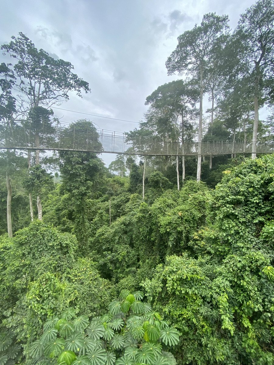 Alida O'Connor tweet media