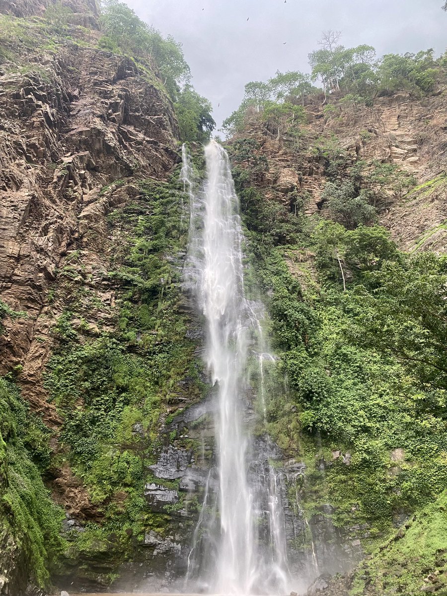 Alida O'Connor tweet media