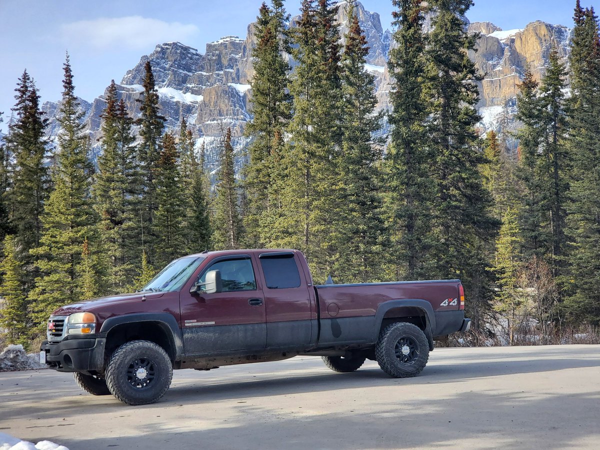 susdaddy902's tweet photo. Dirty max 🥵 https://t.co/2rTzCLjugS