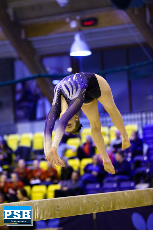 sheila Johnston tweet media