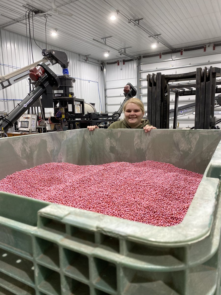 Storby Seed tweet media