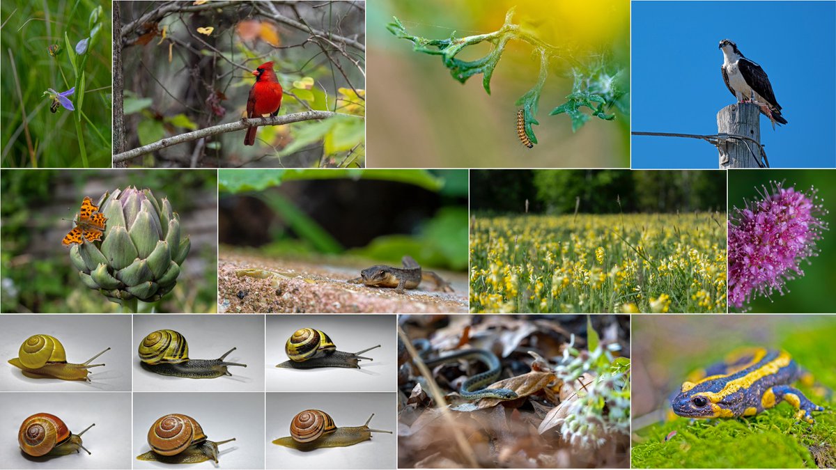 Happy #earthday, everyone. Let's take good care of our planet - it is the only one we have!