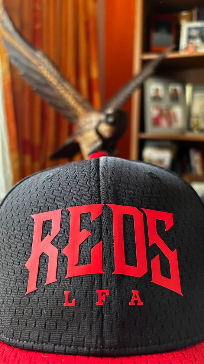 artgalvanlaw's tweet photo. Listos para apoyar a los @Reds_LFA de la @LFAmex para obtener su 6a W esperando el aporte de @arthurGalvan en puntos al marcador #ProudReds #ThinkingRed #ChilangoPower https://t.co/dEL4xWiswd