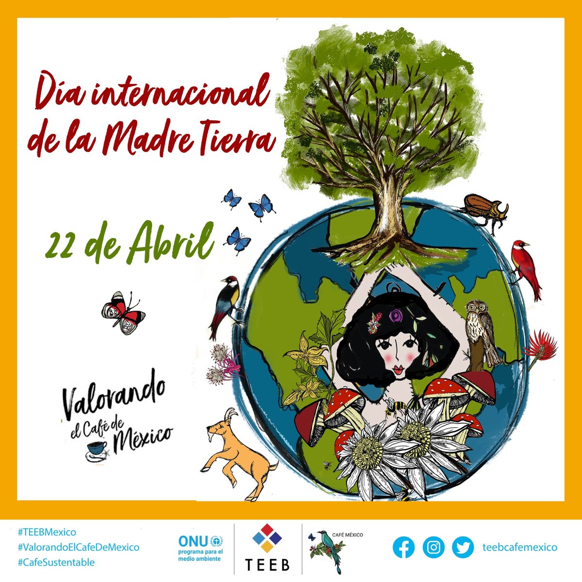 teebcafemexico's tweet photo. En el Día de la Tierra, queremos hacer énfasis en lo indispensable que es protegerla, conservando sus ecosistemas y biodiversidad, entre ellos, los ecosistemas cafetaleros. La Tierra es nuestro hogar y debemos preservarlo para las próximas generaciones.
#diadelamadretierra https://t.co/FfVIF9BVhz
