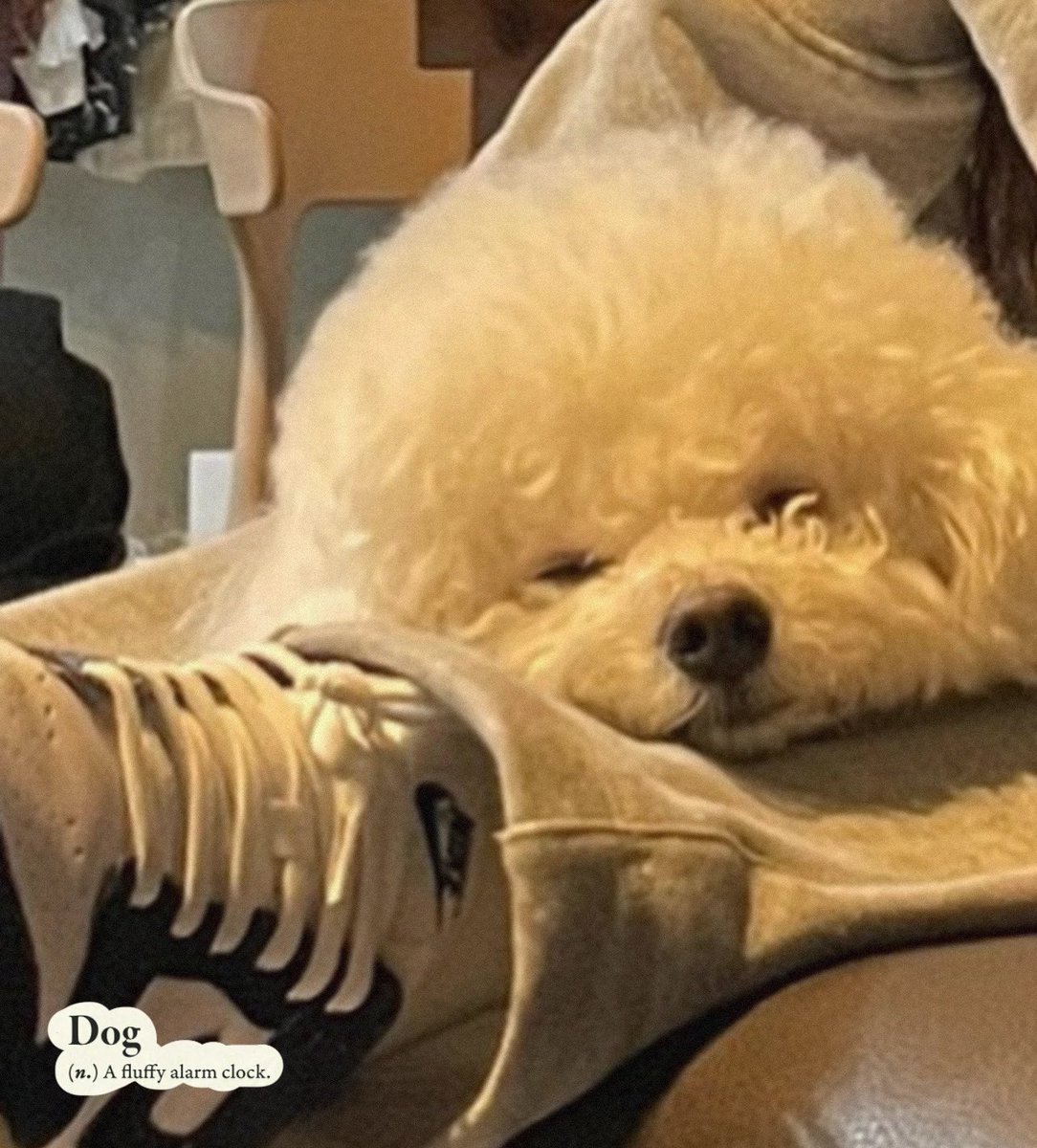 the new baby’s asleep.