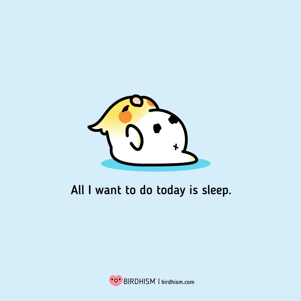 birdhism's tweet photo. Trying to allow myself one day a week to not be outwardly productive without feeling guilty. I need to listen to my own advice and remind myself that self-care IS important and leads to better quality of both work and life. https://t.co/klhQ2uSKui