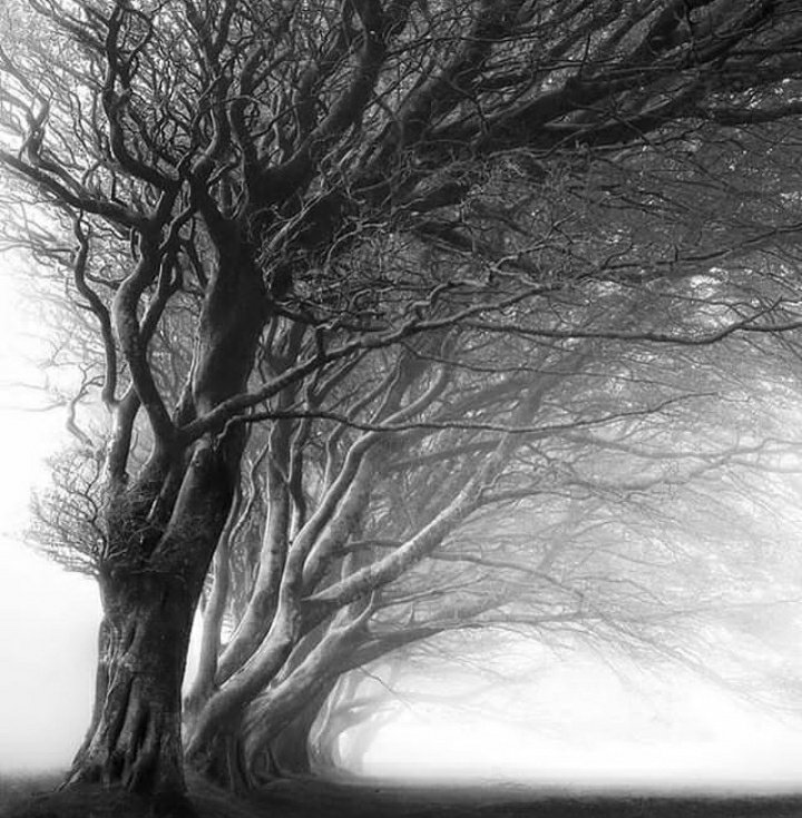 clicks1222's tweet photo. What Would you caption this ??
#blackandwhitephotography https://t.co/5eXzPpGdgK