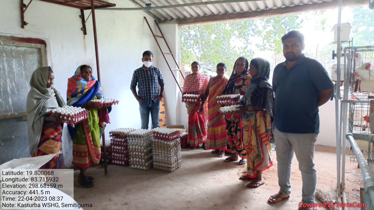 Layer farm by members of Kasturba WSHG (Semitiguma, Kotagarh) with technical guidance of BVO and VAS of Kotagard Veterinary Dispensary. #OVS #Veterinarian #Multifolding_Farmer_Income <a href="/CMO_Odisha/">CMO Odisha</a> <a href="/DMKandhamal/">Collector Kandhamal</a> @farddept <a href="/dahvsodisha/">Directorate of AH&VS Odisha</a> <a href="/rajaaswain/">Ranendra Pratap Swain</a> <a href="/MoSarkar5T/">MoSarkar 5T</a> <a href="/SecyChief/">ChiefSecyOdisha</a>
