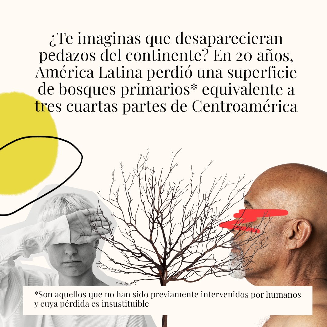 DLatitudes's tweet photo. ¿Cuáles son las causas de pérdidas de bosques en América Latina? ¿Cuántos bosques perdimos en los últimos años? En el #DíaDeLaTierra te invitamos a hacerte estas preguntas. El 25 de abril las responderemos. 

Ya llega #BosquesLATAM. No te lo pierdas
📌 https://t.co/SU6qCwTuCR https://t.co/fPlO8CaUhu