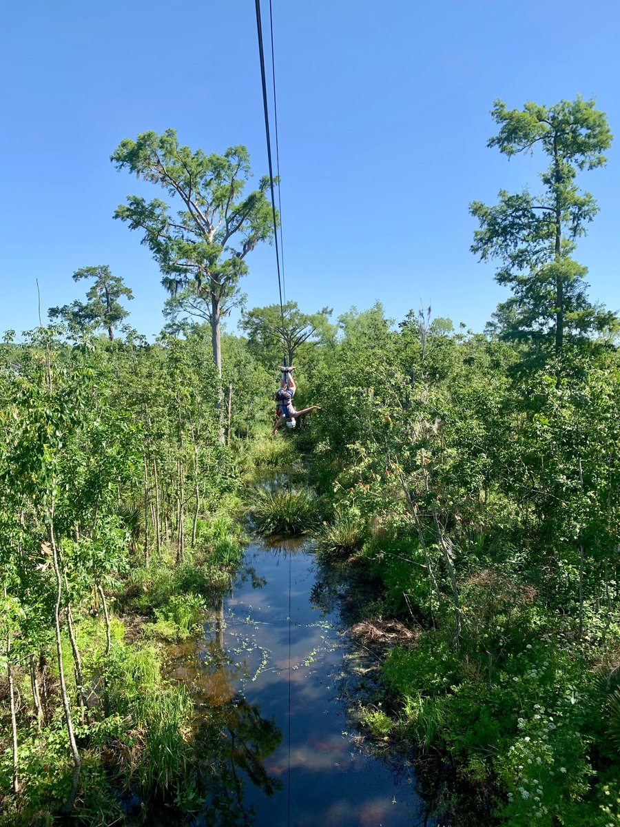 Amazing zip line tour with <a href="/ZipNola/">ZipNOLA</a> - great chance to see a gator while zipping 65’ above the swamp!