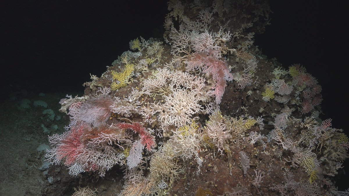 From the small to the strange, surreal to the serene, we are so lucky to share this planet with such an amazing variety of life! #EarthDay2023