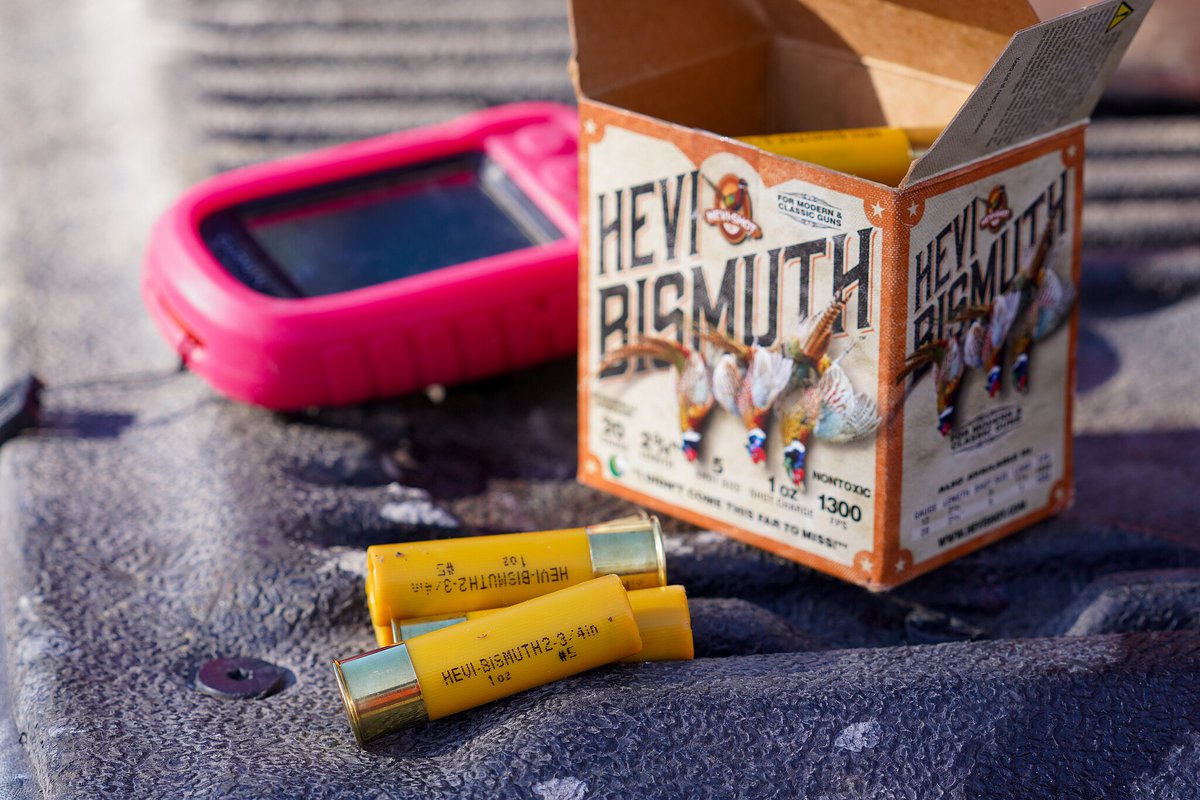 Final___Flight's tweet image. You have put in all the work necessary to have a successful hunt. Your choice of ammunition needs to work just as hard, which is why @hevishotammo HEVI-Bismuth is your key to upland season! #HEVIShot #HEVINATION #HEVIBismuth 731-885-5056  finalflight.net