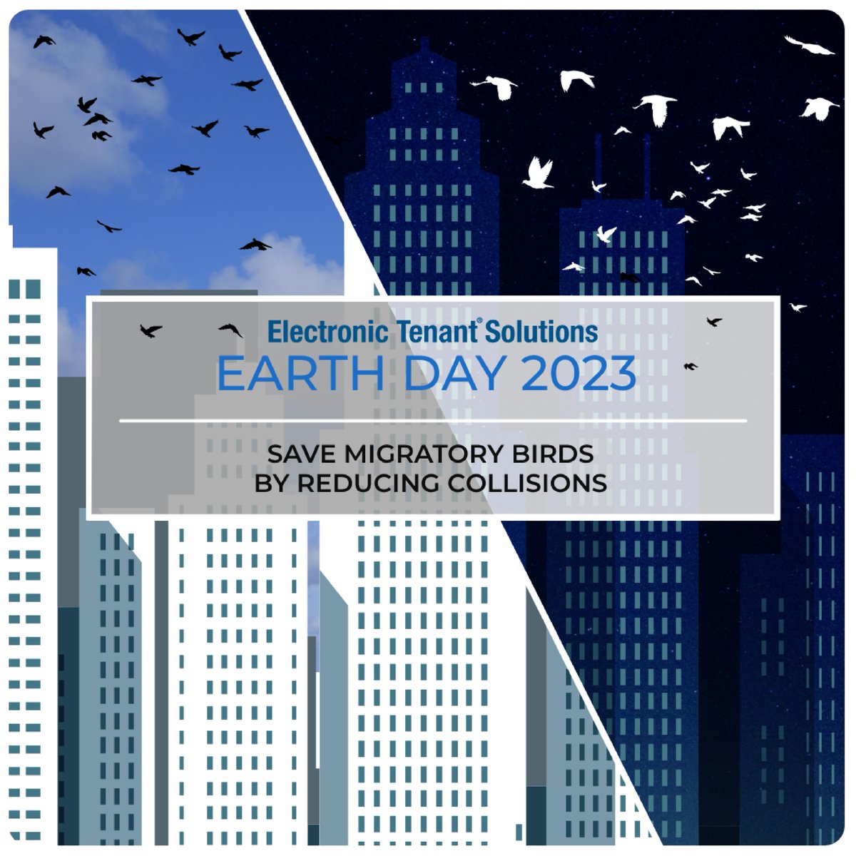 ElectronicTenant tweet media