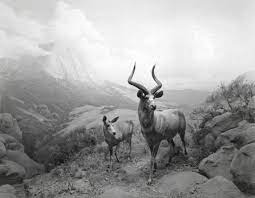 setantabooks's tweet photo. Hiroshi Sugimoto https://t.co/5nywyPmZQW
