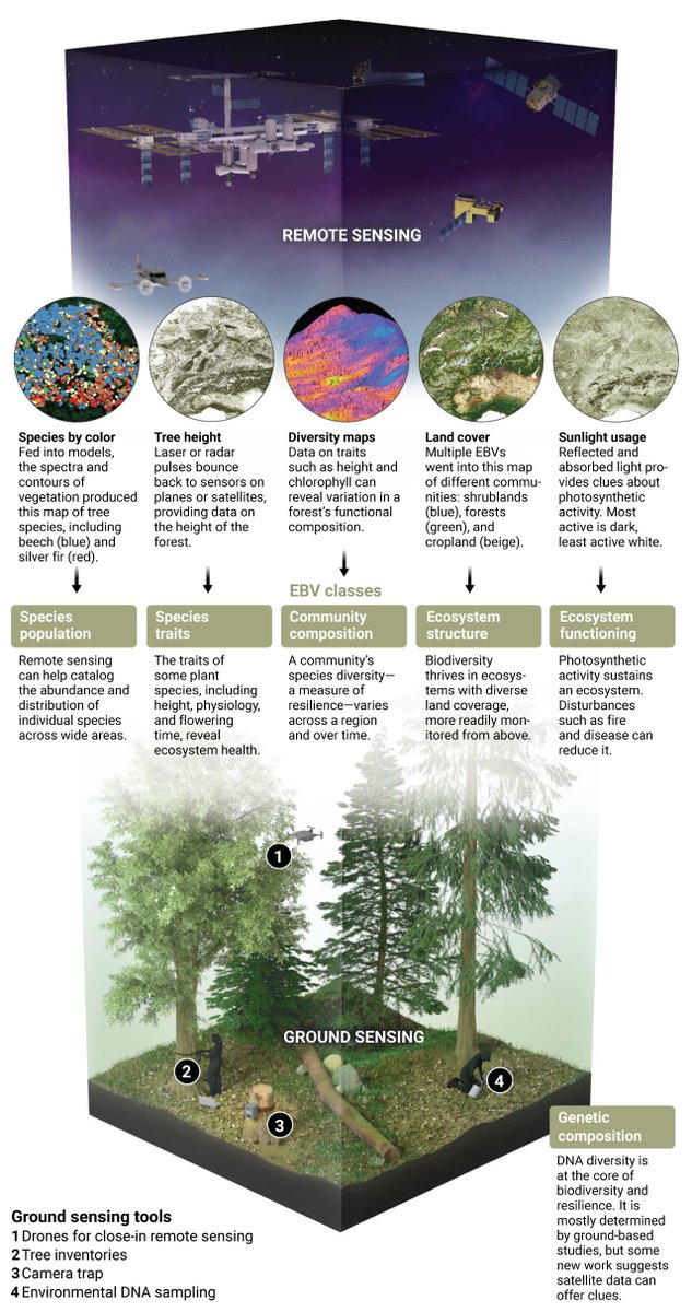 Satellites and other remote sensing tools are not only revolutionizing how scientists study ecosystems, they’re also poised to become powerful tools in the fight to protect them. 

🌎 Learn more on #EarthDay: scim.ag/2l8