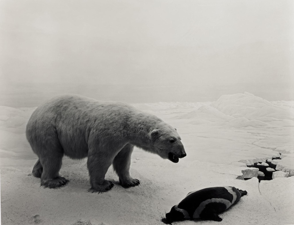 setantabooks's tweet photo. Hiroshi Sugimoto https://t.co/5nywyPmZQW