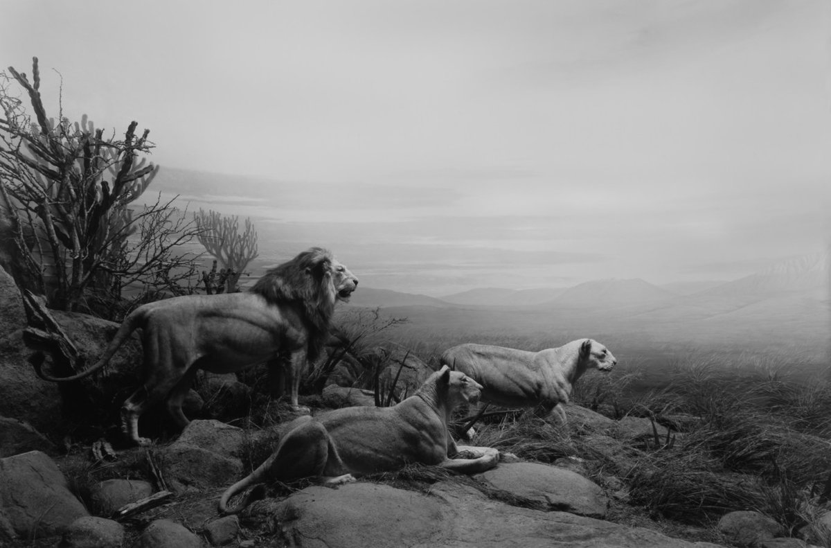 setantabooks's tweet photo. Hiroshi Sugimoto https://t.co/5nywyPmZQW