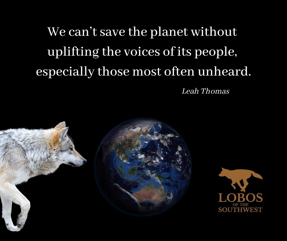 MexicanWolves's tweet photo. https://t.co/hLj2EMivdt