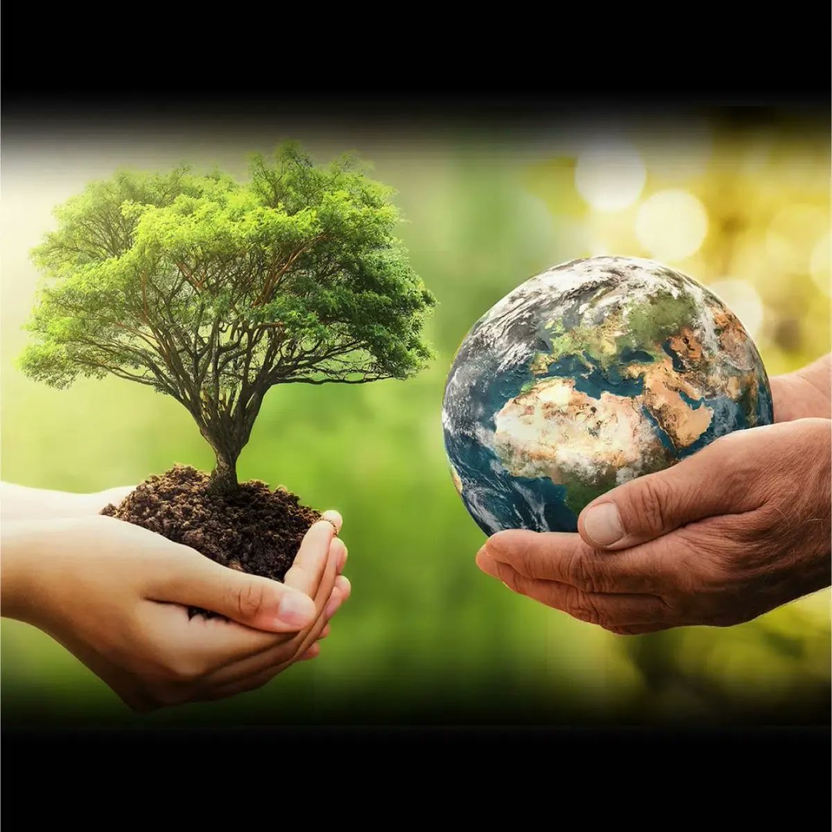 PDNiftyFifties's tweet photo. 🌎 Earth Day 2023 - visit the link below to learn more on how you can invest in our planet! 

https://t.co/ooIQWFKVNd https://t.co/XhlPOQ4xCv