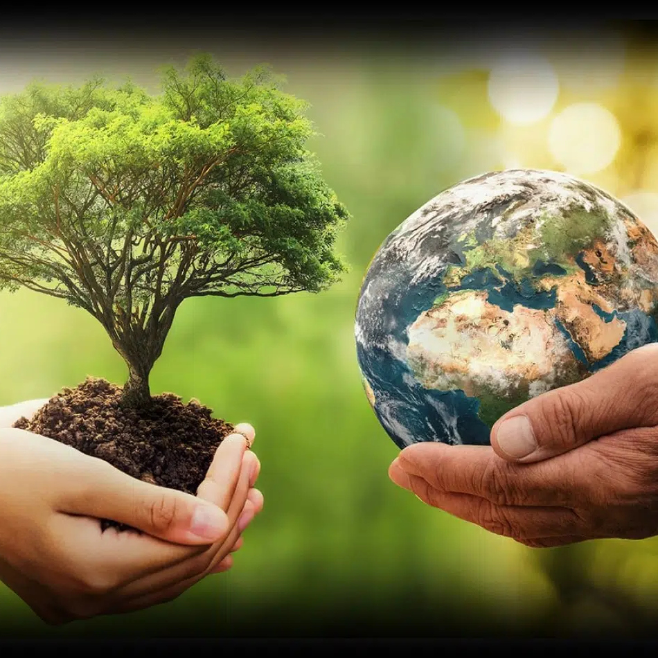 The Great British Garden Festival tweet media