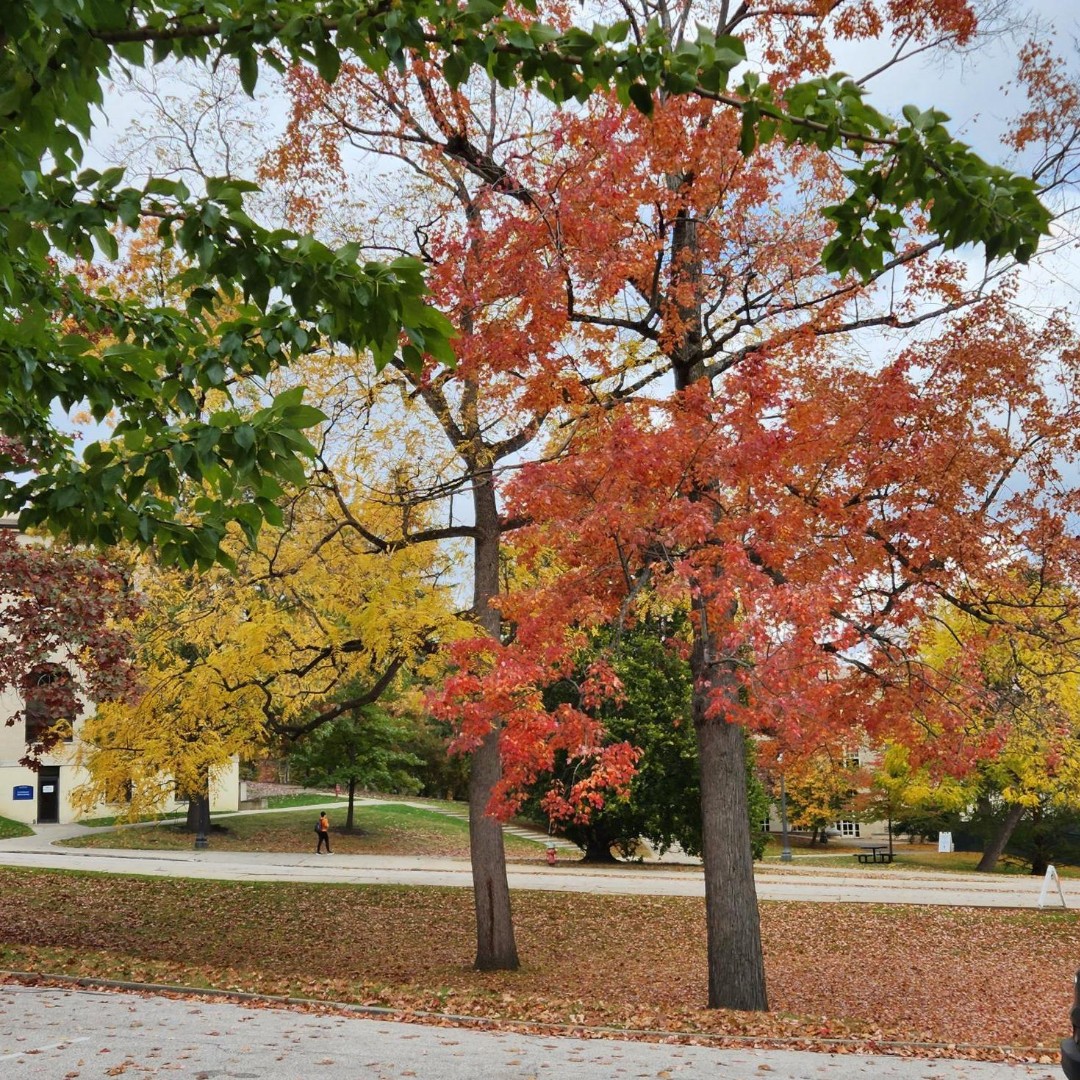 KentStateIntl's tweet photo. Happy Earth Day! Today, we're celebrating Kent State in all its beauty! With each season, Kent gets so many pretty scenes all over campus, all year long! https://t.co/HJ176bU7tg