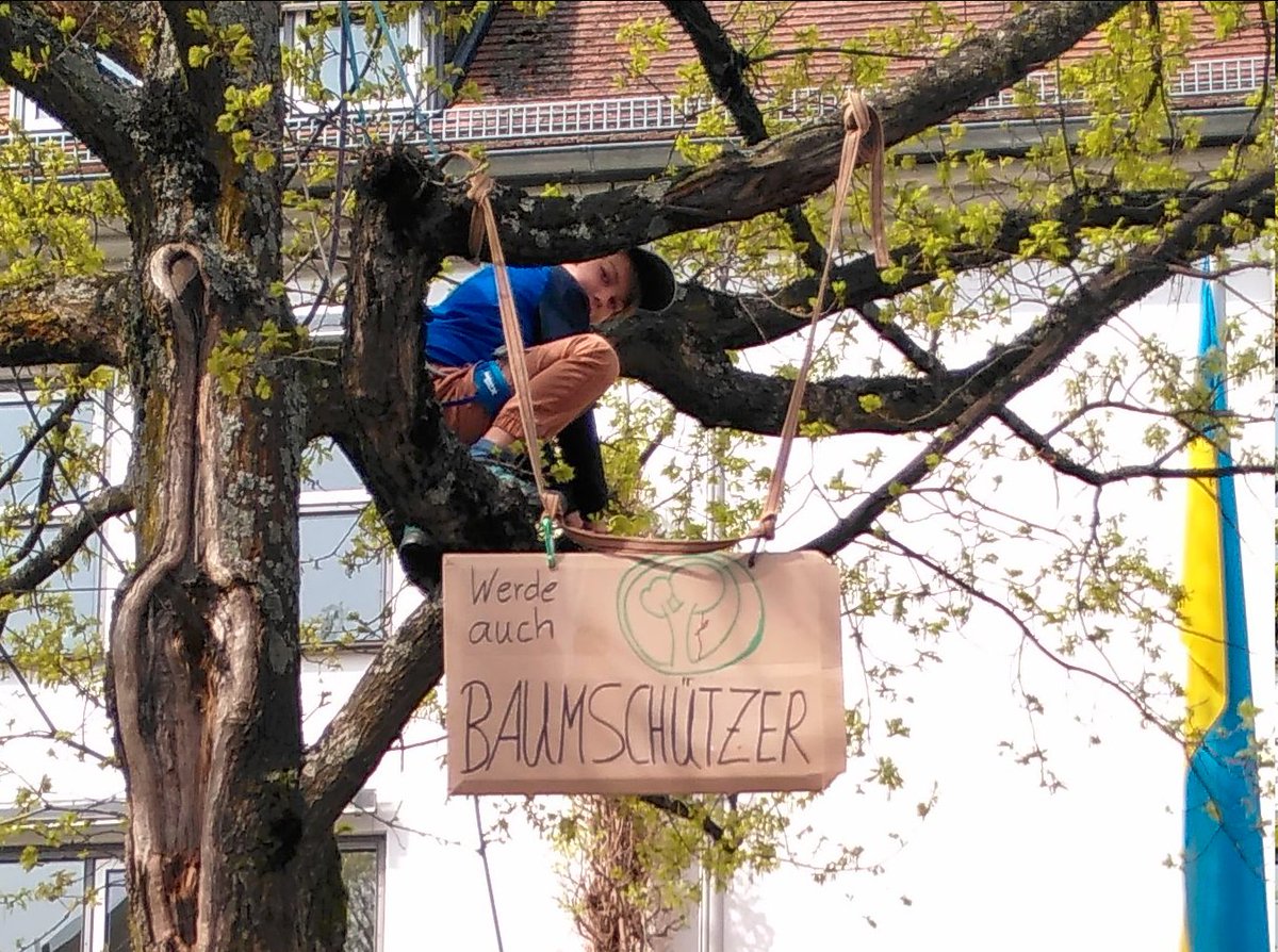 Heute hat unsere Kampagne für die #Baumschutzsatzung #Emmendingen begonnen! klimafitemmendingen.de/2023/baumschut…

Wir wollen, dass kein #Baum mehr einfach gefällt werden kann, denn in einer der heißesten Region Deutschlands brauchen wir sie für ein angenehmes #Klima!
weact.campact.de/p/baumschutzsa…