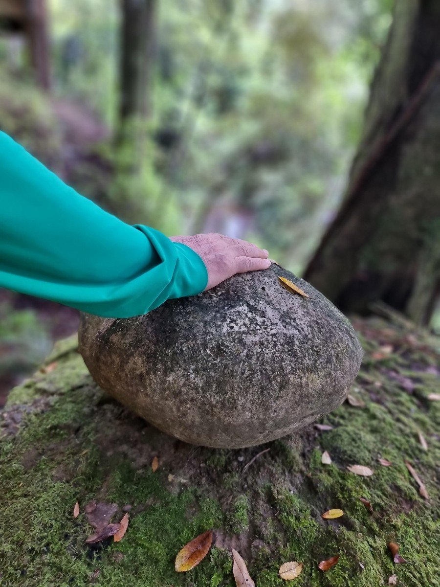 IlchiLee's tweet photo. Happy #EarthDay! I hope you have a chance to connect to the earth today. Feel the sun and wind on your face and the solid ground under your feet. Smell the spring flowers, and touch the nearest rock or tree. Experience yourself as part of the earth. https://t.co/qZAA8aQzqa