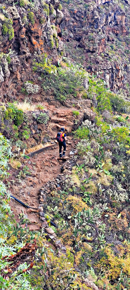 Unidad Búsqueda y Rescate tweet media