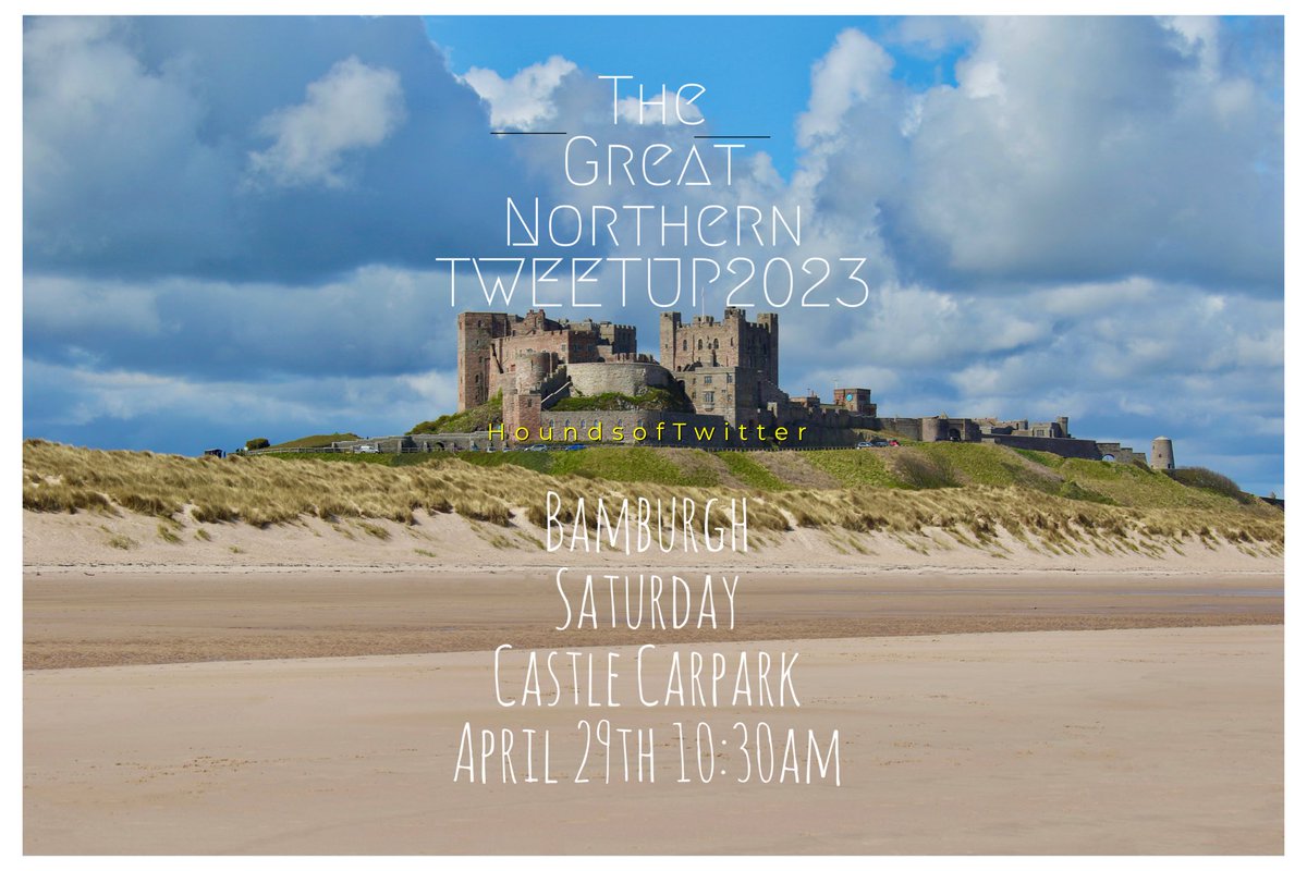 SighthoundSocialClub tweet media