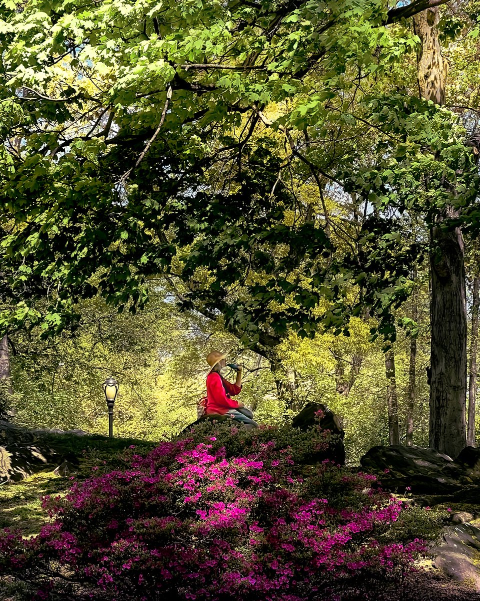 respectrobots's tweet photo. A women enjoying a drink and some shade. Nice to see people taking time to relax and enjoy the weather. Happy Earth Day!
.
.
.
.
.
#raw_colours #earthday2023 #nature #photography #happiness #observationalphotography #earth #park #respectrobots https://t.co/e7txkfVsmx