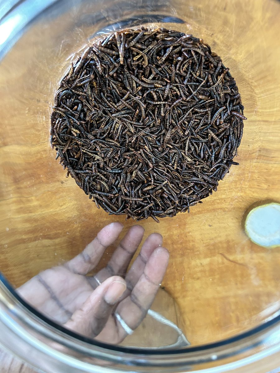 bethlaing tweet media