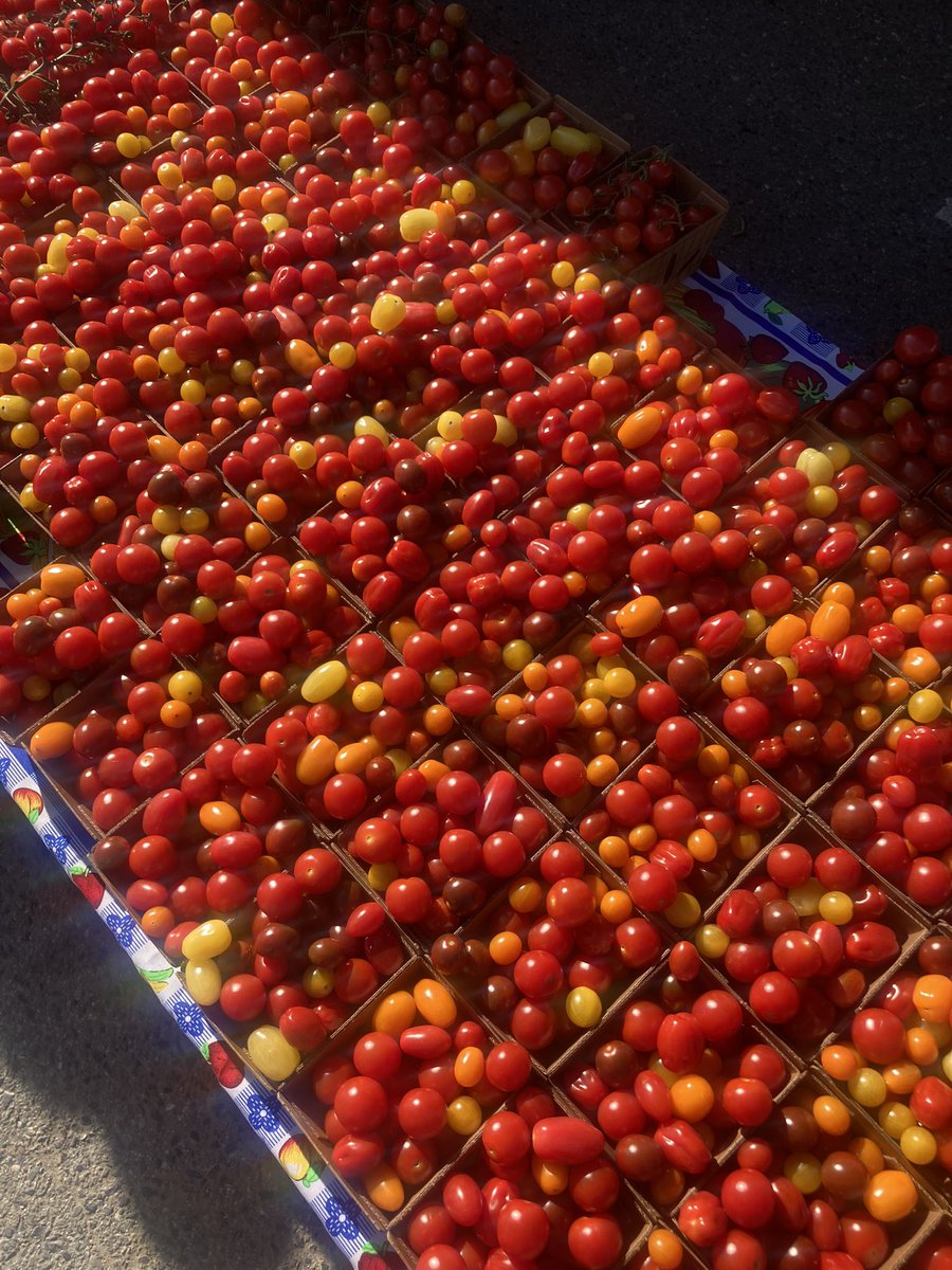 michellebchan's tweet photo. Farmers market…. AWOOOOOGAAAA https://t.co/k20dGLSeem