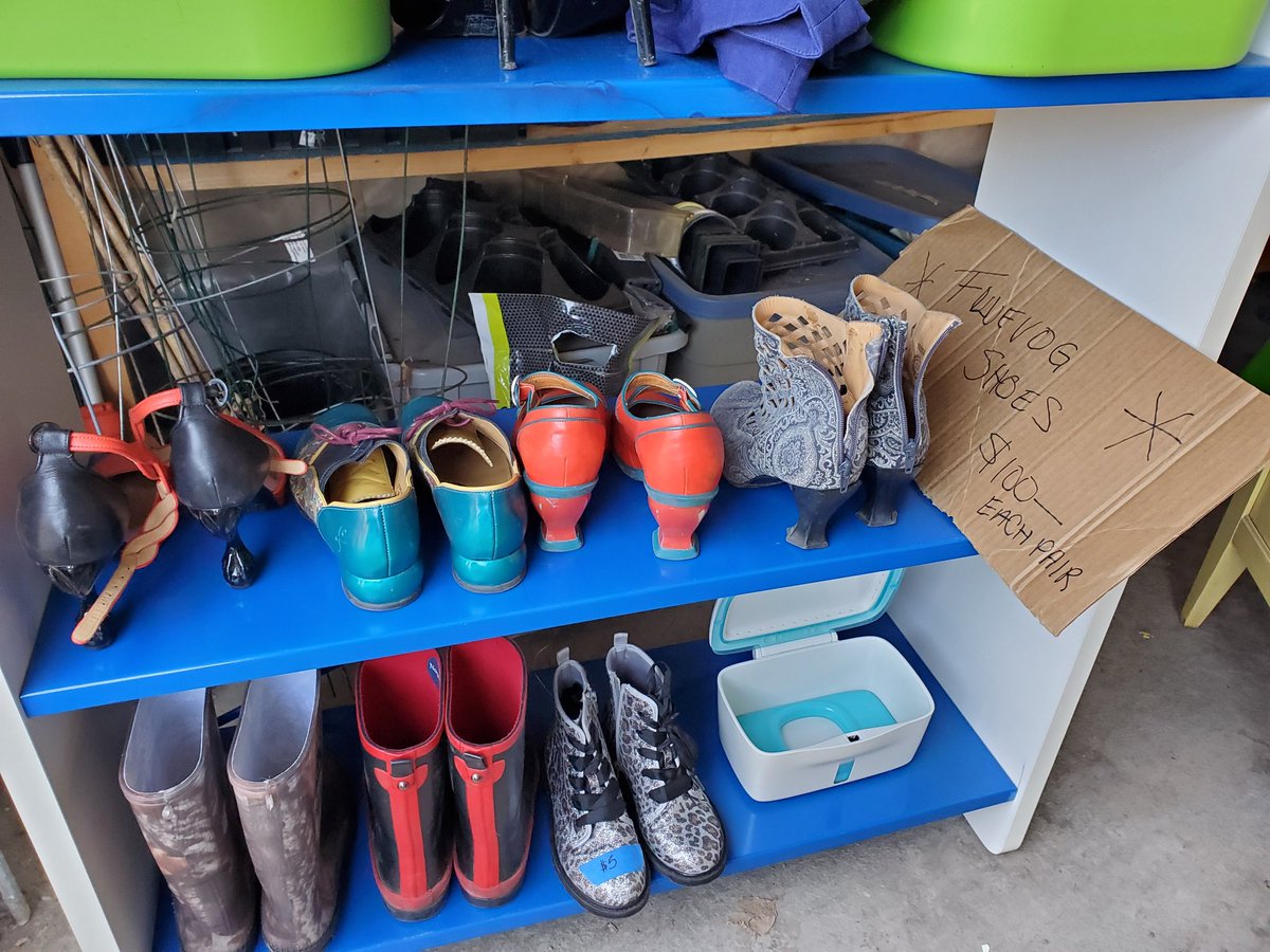 Gena Rotstein tweet media