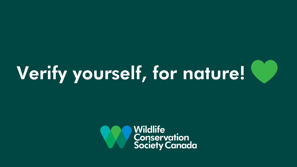 WCS_Canada's tweet photo. This #EarthDay, verify yourself #ForNature! Join #TwitterGreen, it's free and easy!
All you have to do to find your community is add a green heart to your name. https://t.co/K0etPNoSee