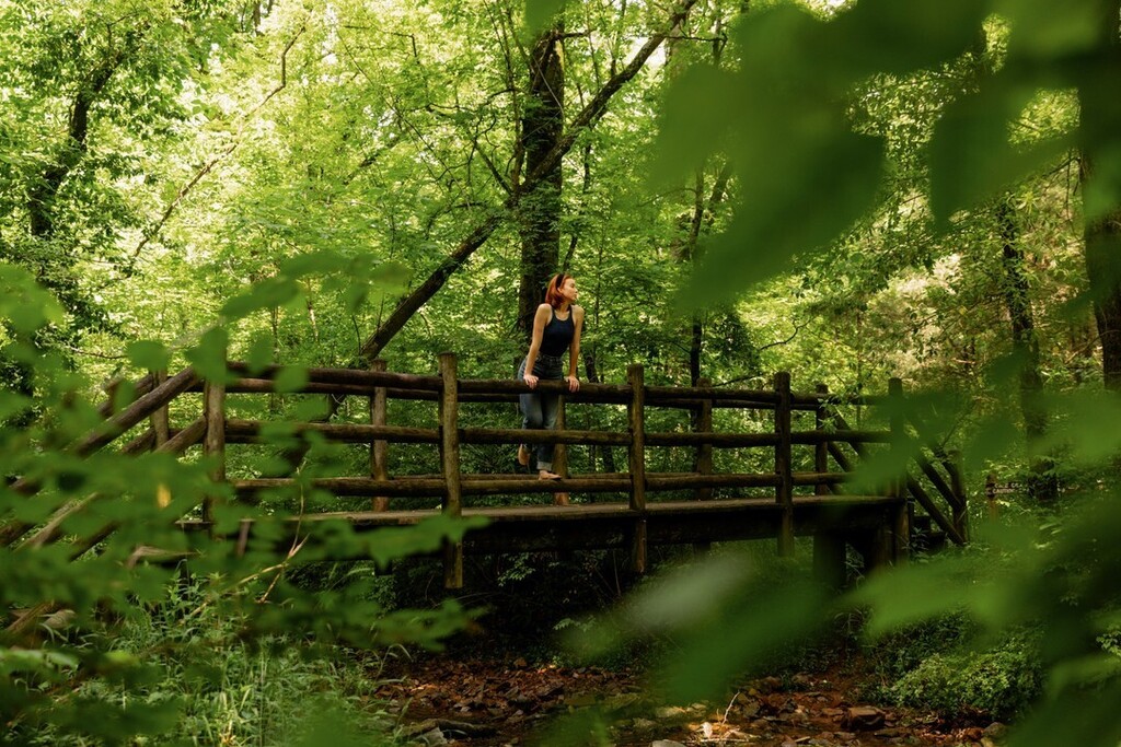 On national #EarthDay, take time to admire the natural beauty of Tennessee. 🍃​​​​​​​​​
Revitalize your mind with an abundance of breathtaking views, from stunning waterfalls, rivers, lakes, and mountain vistas located just outside the city limits. instagr.am/p/CrWBPVOsJpy/