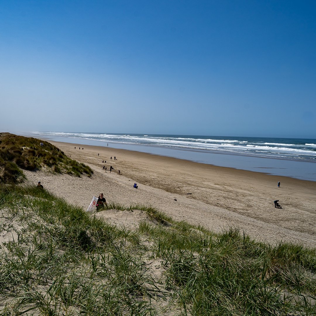 Cheers to you, planet Earth. Today we're drinking Beachy Clean, a West Coast IPA that's dedicated to sparkling shores. A portion of the proceeds will be donated to @solveinoregon, a local nonprofit that helps improve the health and safety of our beaches.

rogue.com/shop/beer/seas…