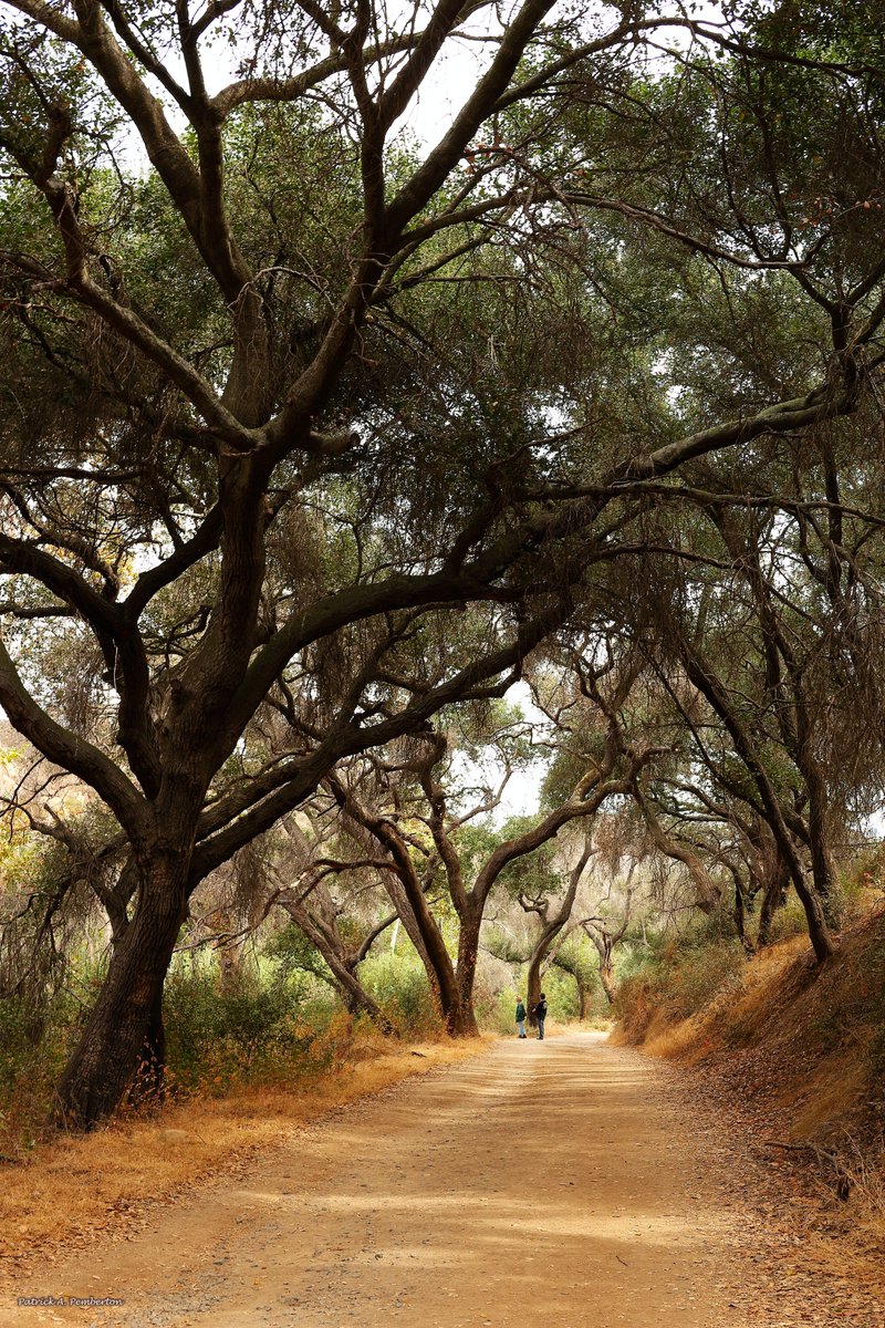 ArtByPemPhoto's tweet photo. Today is #EarthDay Let's appreciate it every day https://t.co/4sFEQyZlHp… #art #photography #prints #printsforsale #wallart #wallartforsale #levelframes #dotpress #RetweeetPlease https://t.co/EUD6GiiRlN
