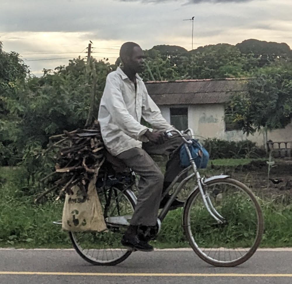 DontjeJames's tweet photo. #30DaysofBiking Day 21.  Besides charcoal, wood is another common fuel here in Tanga, often transported by bicycle. https://t.co/alUC8zQ9CH